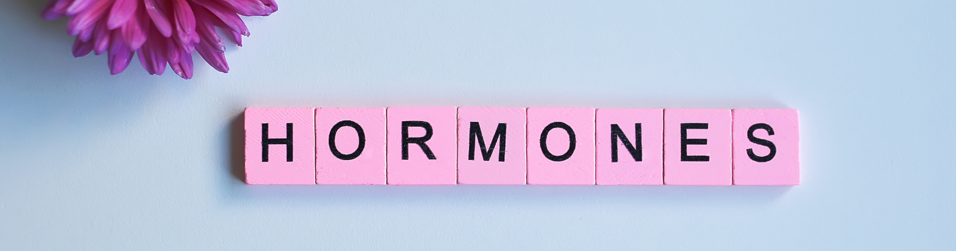 Best Hormone Balance Supplements