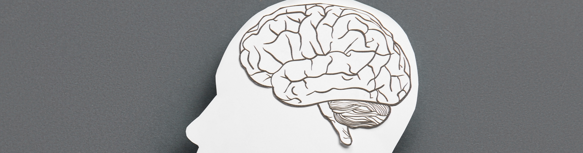 Does Magnesium Help with Memory