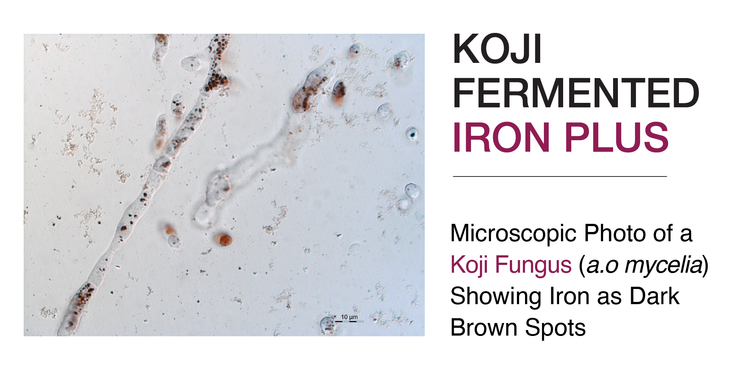 Koji Fermented Iron Plus